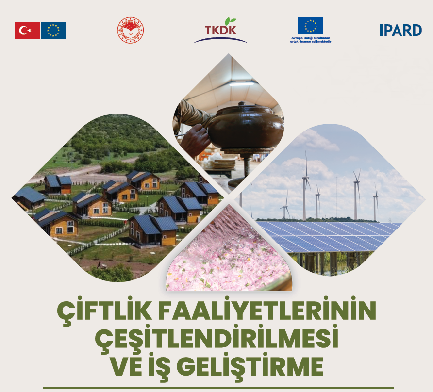 Ekran görüntüsü 2026-02-23 100705
